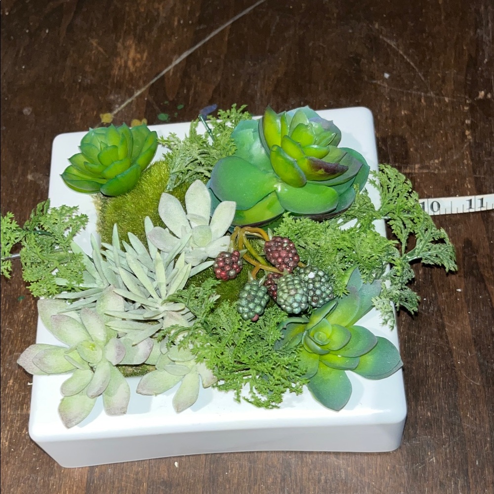 Succulent Faux Greens in White Wall Hanging Planter or Placed Flat